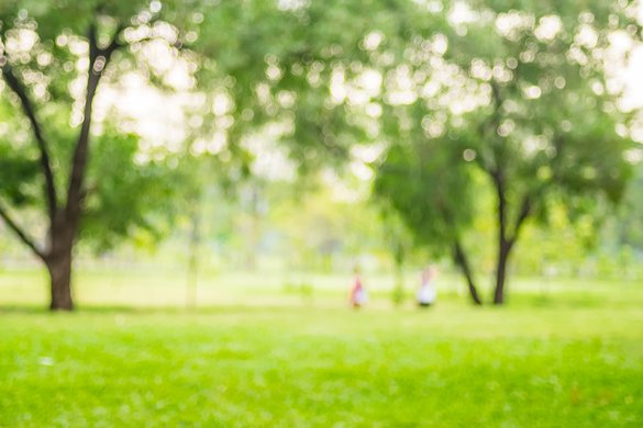 Blurred-background,People-exercise-at-green-park-with-bokeh-ligh